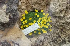 DSCF8686.webp