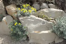 DSCF8687.webp