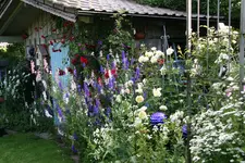 Juli1716.webp