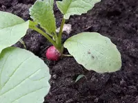 20170407_151726.webp