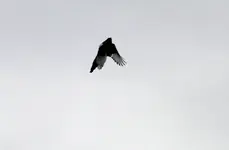 _MG_7186.webp