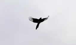 _MG_7188.webp