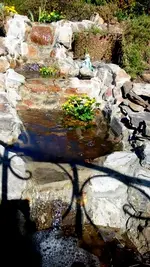 20170406_111114.webp