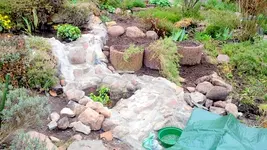20170404_160246.webp