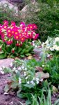 20170404_160212.jpg