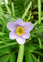 P1130559.webp