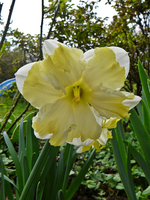 P1130546.JPG