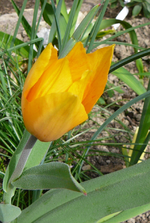 P1130549.webp