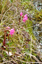 P1130553.JPG