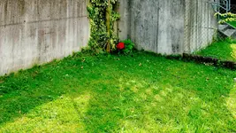 garten_0032.webp