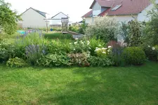 Großes Beet-Juni.webp
