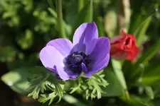 1152_6364323661346462.webp