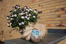 1152_6333623737646665.webp