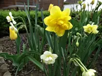 DSC09199.webp