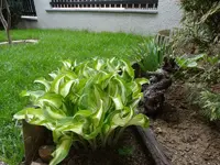 DSC09208.webp