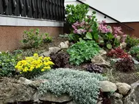 DSC09214.webp