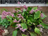 DSC09216.webp