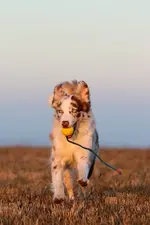 comp_IMG_0112.jpg