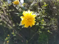 20170409_122705.webp