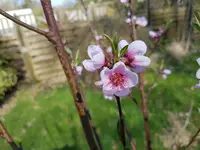 20170409_122746.webp