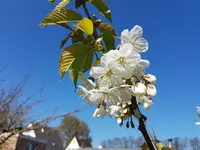 20170409_122827.jpg