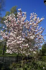 _DSC1368.webp