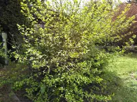 IMG_20170409_143558.webp