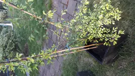 20170409_182826.webp