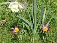 P1050001.webp