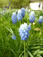 P1050018.webp