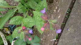 DSC_0029.webp