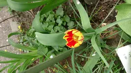 DSC_0058.webp