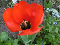 P1000627.webp
