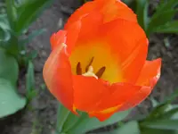 P1000636.webp