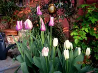 IMG_7567.webp