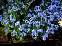 IMG_7570.webp