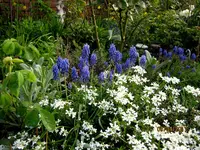 IMG_7572.webp