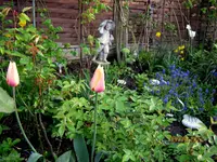 IMG_7574.webp