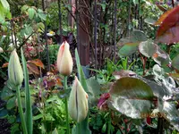 IMG_7575.webp