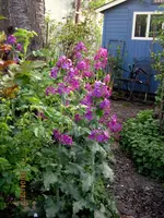 IMG_7576.webp
