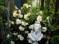 IMG_7577.JPG