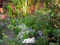 IMG_7588.webp