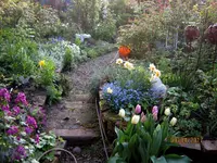 IMG_7590.webp