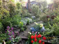 IMG_7593.webp