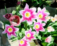 IMG_1824.webp