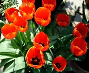 IMG_1826.webp