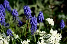IMG_1835.webp
