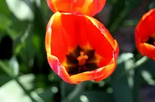 IMG_1839.webp