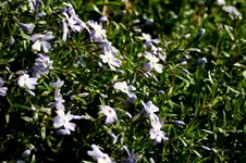 IMG_1844.webp