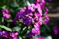 IMG_1846.webp